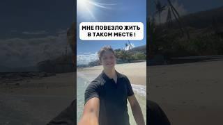 У МЕНЯ ЖИЗНЬ МЕЧТЫ !