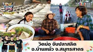 วิดบ่อ จับปลาสลิด อ.บ้านแพ้ว จ.สมุทรสาคร | ตามอำเภอจาน | 27 ม.ค.61 Full EP