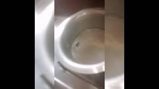 Desi jugaad video trips and trick