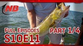 (Part 1/4) Locating Lake Superior Walleyes