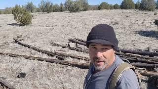 "Old logs for a cabin?"...off grid in northern Arizona.