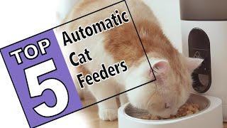 ⭐The 5 Best Automatic Cat Feeders Of 2021 - Review Guide