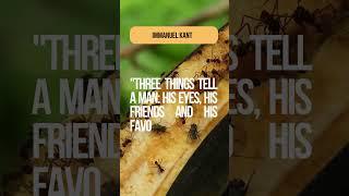 "Discover the True Essence of a Man in Three Simple Ways" #quotesyoumightquoted #quotes