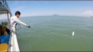 Coastal Cetaceans and Marine Soundscape in Hong Kong