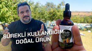 Sedir katranı kendim için Sürekli Olarak Kullandığım Doğal Ürün