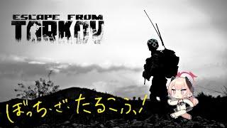【EFT】月曜日から夜更かし　PvE編　(PC)