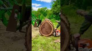 Sawmill Sunday #shorts #sawmill #woodshop #woodworking