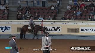 2020 AQHA Senior Western Pleasure