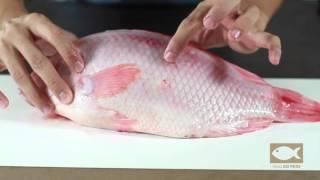 Como escolher peixe fresco Como limpar peixe como um profissional! técnicas