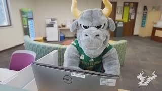 How to Apply to Live at USF Sarasota-Manatee