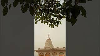 blessing #shorts #ytshorts #virar mata mandir.