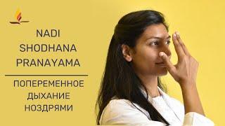 Nadi Shodhana Pranayama: Попеременное дыхание ноздрями | SRMD Йога | SRMD Russian