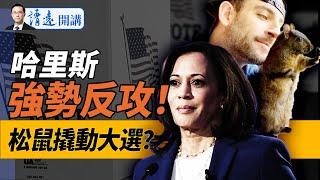 哈里斯強勢反彈藍牆州領先；小松鼠意外攪動大選！馬斯克凌晨發數據；最高法院又下重磅裁決！｜靖遠開講 唐靖遠 | 2024.11.02