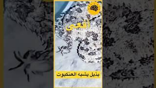أغرب ثعبان ستراه بحياتك | عندما يصبح المفترس فريسة