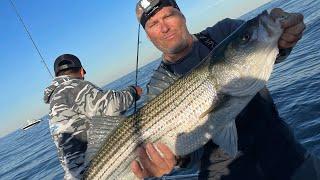 Striped Bass are finally here ! Huge schools of Bait everywhere!!