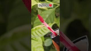 Perfect Red ️#youtube #ytshortsvideo