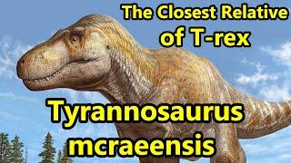 Tyrannosaurus mcraeensis: The Closest Relative of T. rex