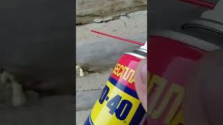 WD40 против древесных пчел