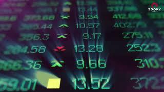 Zooky Group Companies Profile 