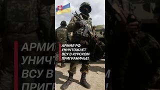 Армия РФ уничтожает ВСУ в курском приграничье! #украина #россия #новости #политика #война #сво