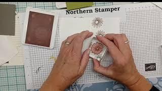 Take-A-Way Tuesday with Northern Stamper - Pebbled Path!