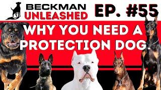 The World is Crazy! Do you need a Protection Dog?