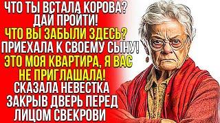 Корова, дай пройти! Я приехала к сыну! Это моя квартира, я вас не приглашала! сказала невестка закры