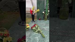 Мэтры своего дела! Новодевичье кладбище #kulakovvvobovsem #kulakovvv