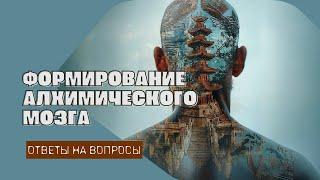 Цзе Кун. Формирование алхимического мозга. Ответы на вопросы