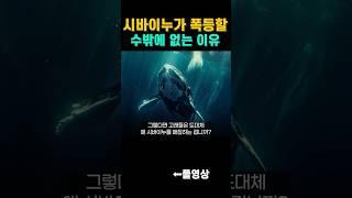 시바이누 폭등할 수밖에 없는 이유