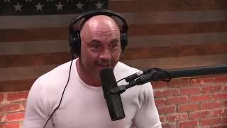 Joe Rogan on Striking vs BJJ In Street Fights