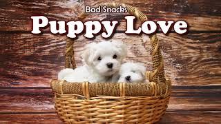 Bad Snacks - Puppy Love