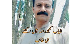 Nayab khajour (Malik k Vlogs)
