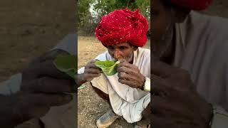 Rajasthan village life , Rajasthan tourism , explore rajasthan and rajasthani culture and food.