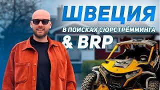 Поехали в Швецию. Обзор техники BRP у местных дилеров. Ищем лучший сюрстрёмминг!