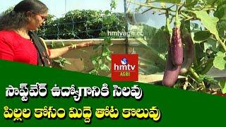 Terrace Gardening by Software Employee | hmtv Agri