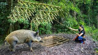 Full Video: Wooden Cabin Shelter, Big Trap Hole, Wild Boar Hunting- 20 Days of Building and Survival