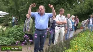 Führung mit Markus Kobelt: Die Johannisbeerspaliere auf Schloss Ippenburg