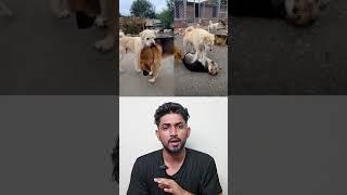 VIRAL Dog with 300 Million Views | Tamil Explanation