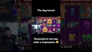 The DOG HOUSE 32 К ставка! #bigwin #jackpot #maxwin #стрим #максвин #егоркрид #крид #заносынедели