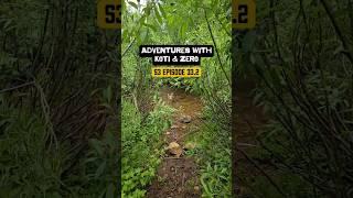 Adventures with Koti & Zero S3 Episode 33.2 #dailyvlog #travelvlog #hikingadventures