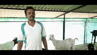 Successful Goat Farming|  कोकणातील बंदिस्त शेळी प्रकल्प|#goatfarming #kokan|8Lakh Income|Ratnagiri