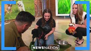 BestReviews shares top products to keep your dog in good health | Morning in America