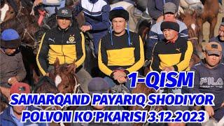 1-QISM SAMARQAND PAYARIQ SHODIYOR POLVON KO'PKARISI 3.12.2023 @Xiloliddin_Tv