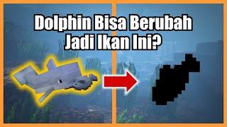 Kenapa Dolphin Minecraft Ngejatuhin Ikan Cod?