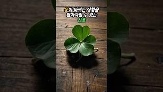 운이 바뀌는 상황을 알아차릴 수 있는 신호