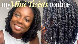 HOW I INSTALLED MINI TWISTS ON  MY TYPE 4 HAIR | NEW METHOD