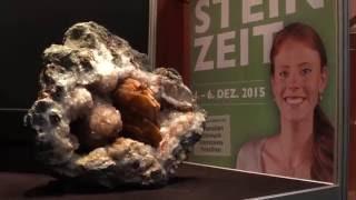 Mineralien Hamburg 2015 - Ausblick