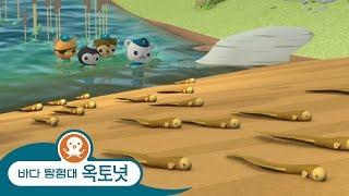 바다 탐험대 옥토넛 - 땅에서 사는 물고기 - 모음집