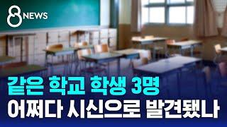 아파트 화단에서 발견된 시신 3구…같은 학교 학생들이었다 / SBS 8뉴스